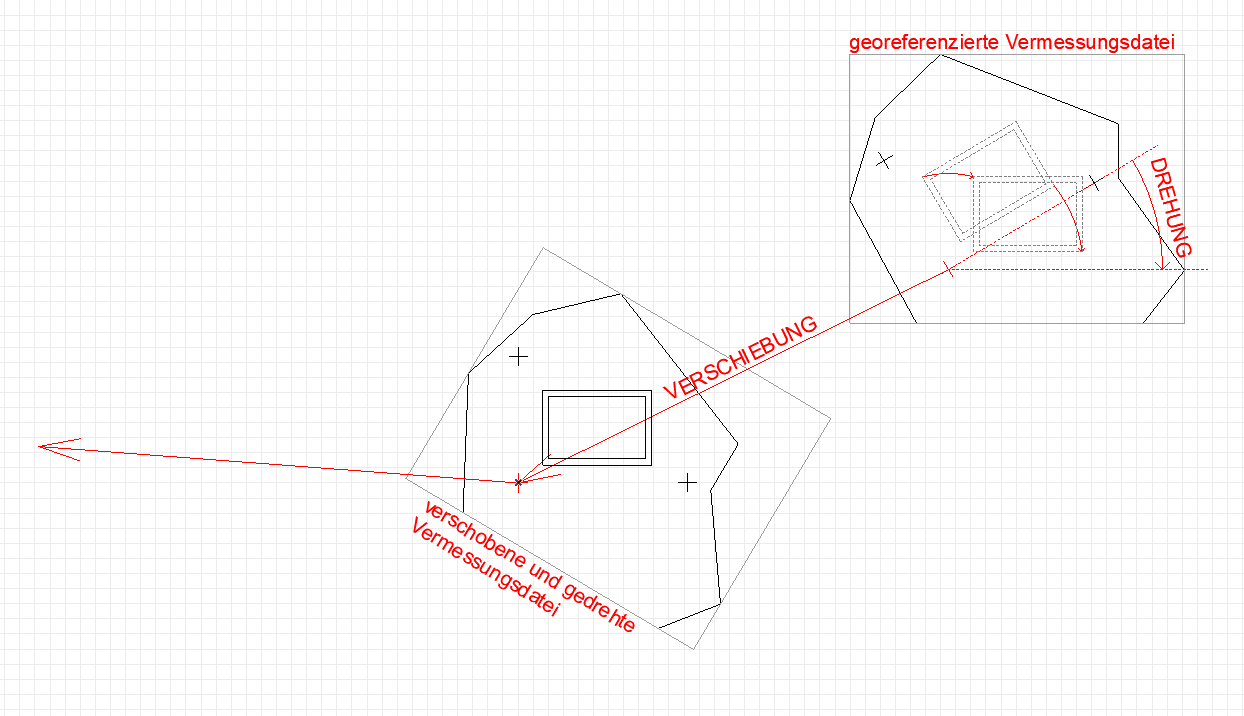 VermP_01.png